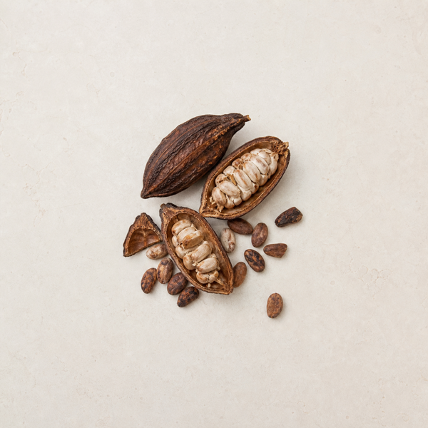 Cacao