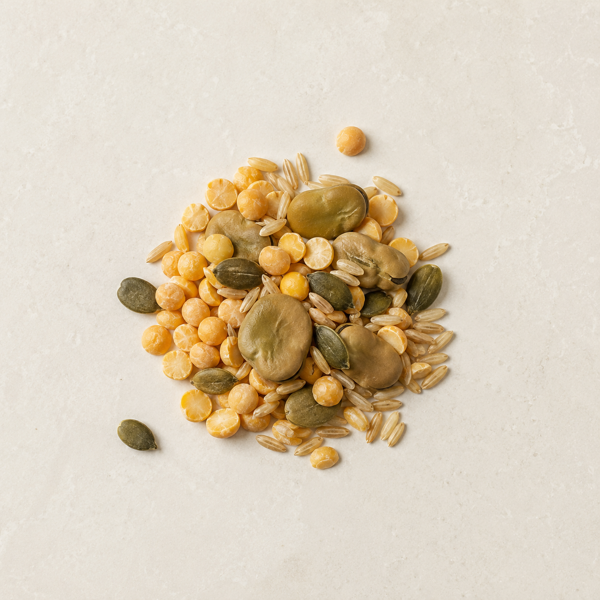 Pea, faba, brown rice and pumpkin seed proteins