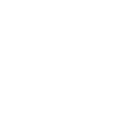 Shield with a check